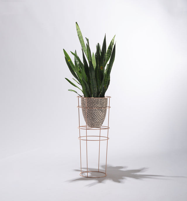 Plant Pod Set