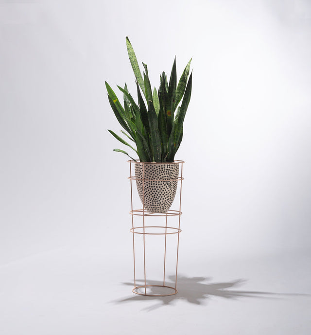 Plant Pod